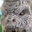 Avatar de xbosito666