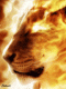 Avatar de nair3
