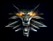 Avatar de kappie