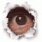 Avatar de yocomo