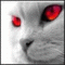 Avatar de alexxx1978