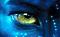 Avatar de costeneger