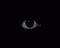Avatar de chivo