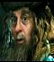 Radagast elPard