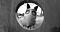 Avatar de masay_90