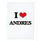 Andr�scaalii