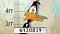 Avatar de Calde8508
