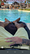 Avatar de josefernando97