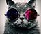 Avatar de Misaoc
