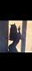 Avatar de Elsultanpty