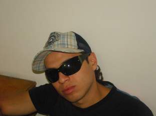 Foto de cheguin