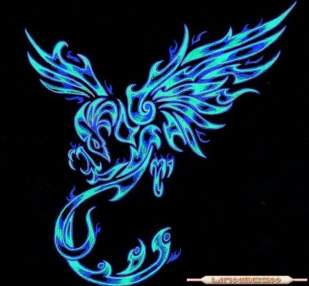 Foto de Avefenix