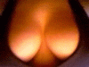 Foto de *G@TO*