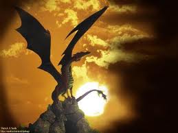 Foto de dragondx
