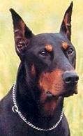 Foto de LuKs023