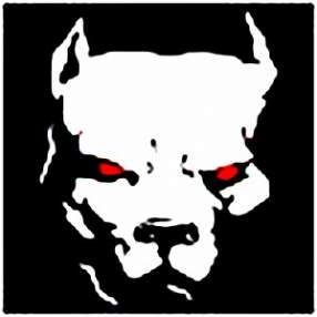 Foto de KILLER PITBULL