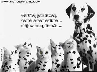Foto de Enri