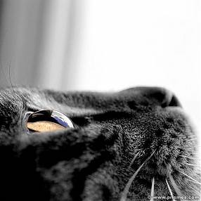 Foto de σεβαστιαν�