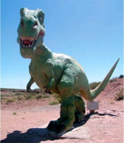 Foto de X-RAPTOR