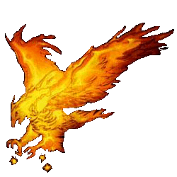 Foto de renewfenix