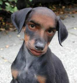 Foto de Cucarron10