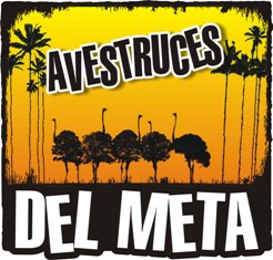 Foto de avestruces