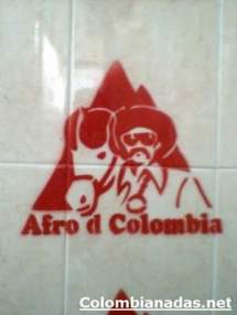 Foto de leito080327