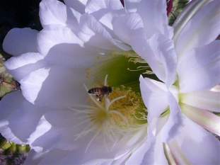 Foto de angelesaz
