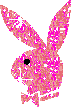 Foto de xangel