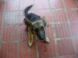 Foto de andres8504