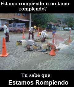 Foto de Mr.Donkey