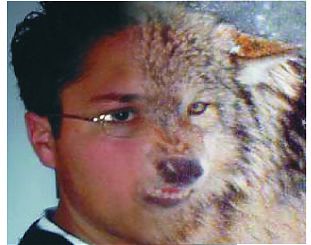 Foto de wolfnightwalker