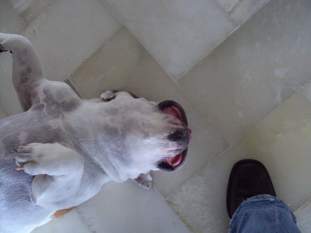 Foto de riosurgery