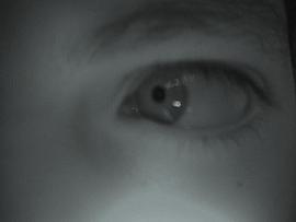 Foto de wiifly