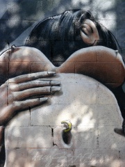 Foto de the wall