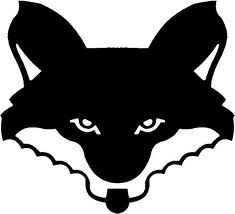 Foto de 70.zorro
