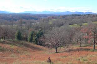 Foto de Camilo_0627