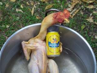 Foto de ymanrique