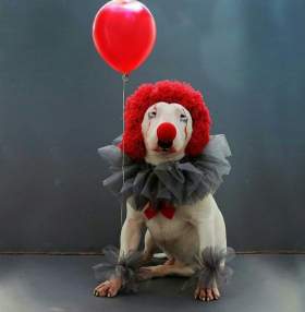 Foto de yei.silver