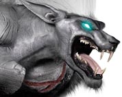 Foto de lechuga26