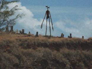 Foto de anonimeishon