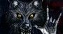 Foto de wolfdoom