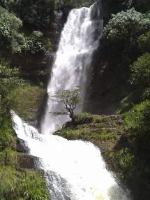 Foto de neyiip