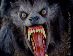 Foto de SkullCraker