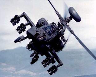 Foto de aguila30