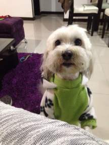 Foto de david933