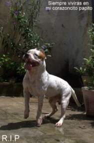 Foto de Chico-RC