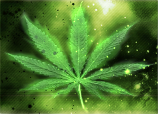 Foto de medeweed