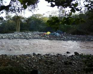 Foto de chimparata