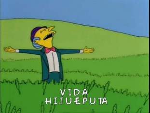 Foto de gallina46